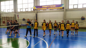 Школьная спортивная лига по волейболу.